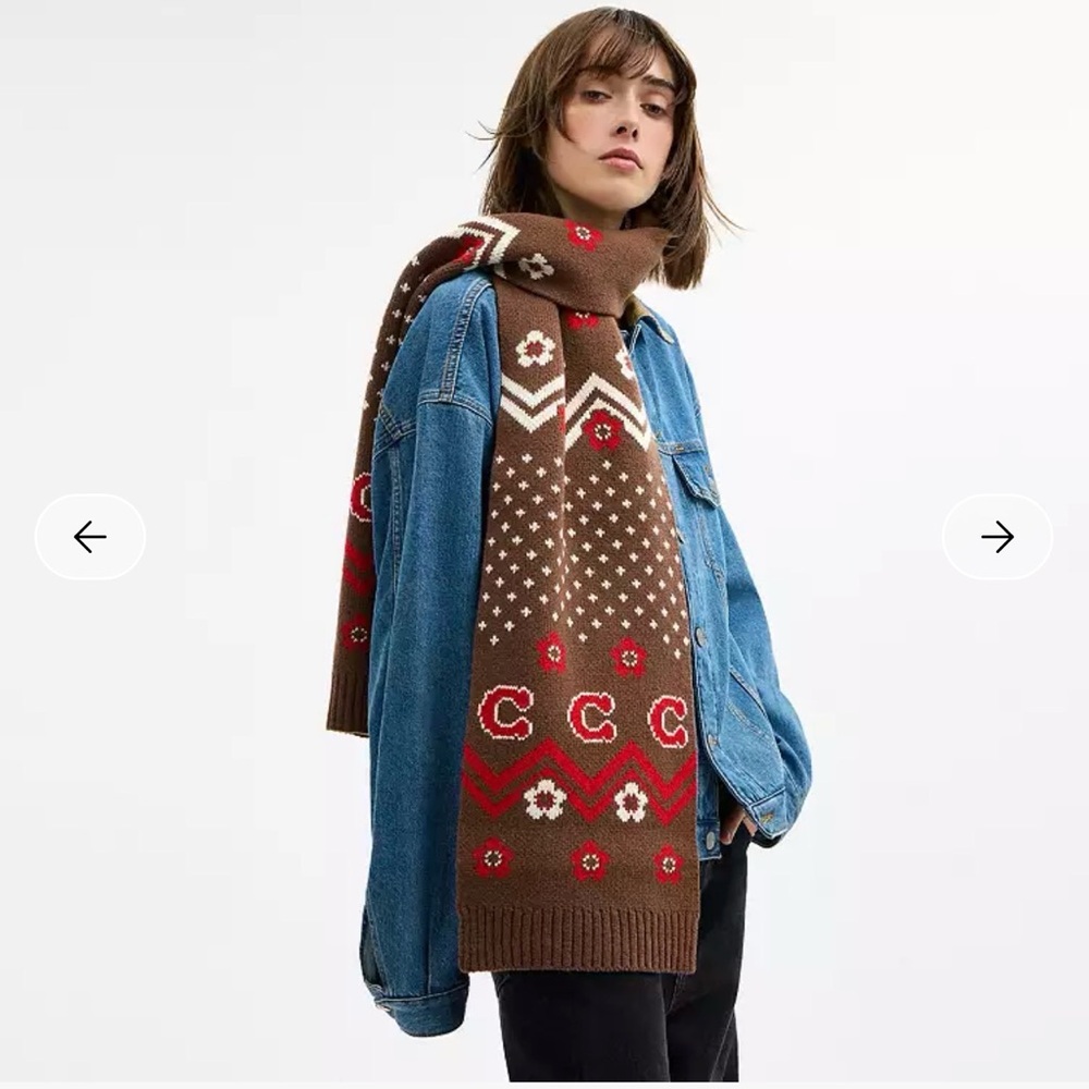 Coach Fair Isle Print Knit Muffler Sable Multi CCW05 72" x 10" NWT